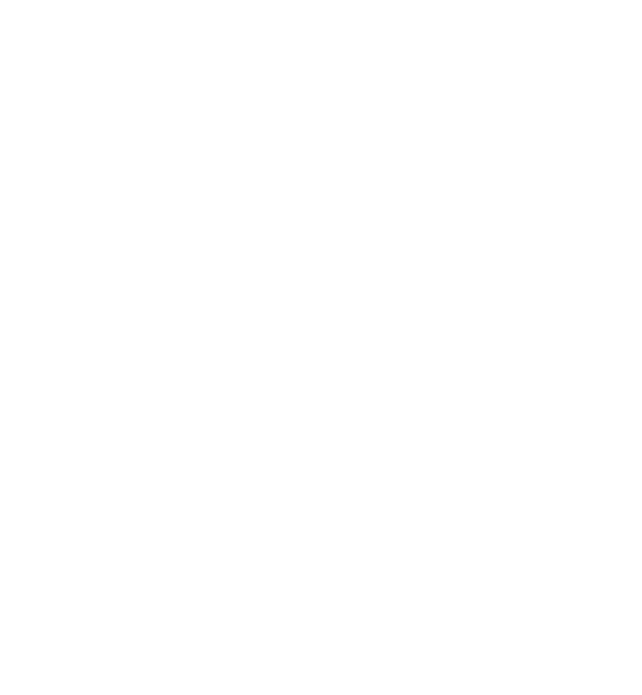 Salelytics Footer Logo